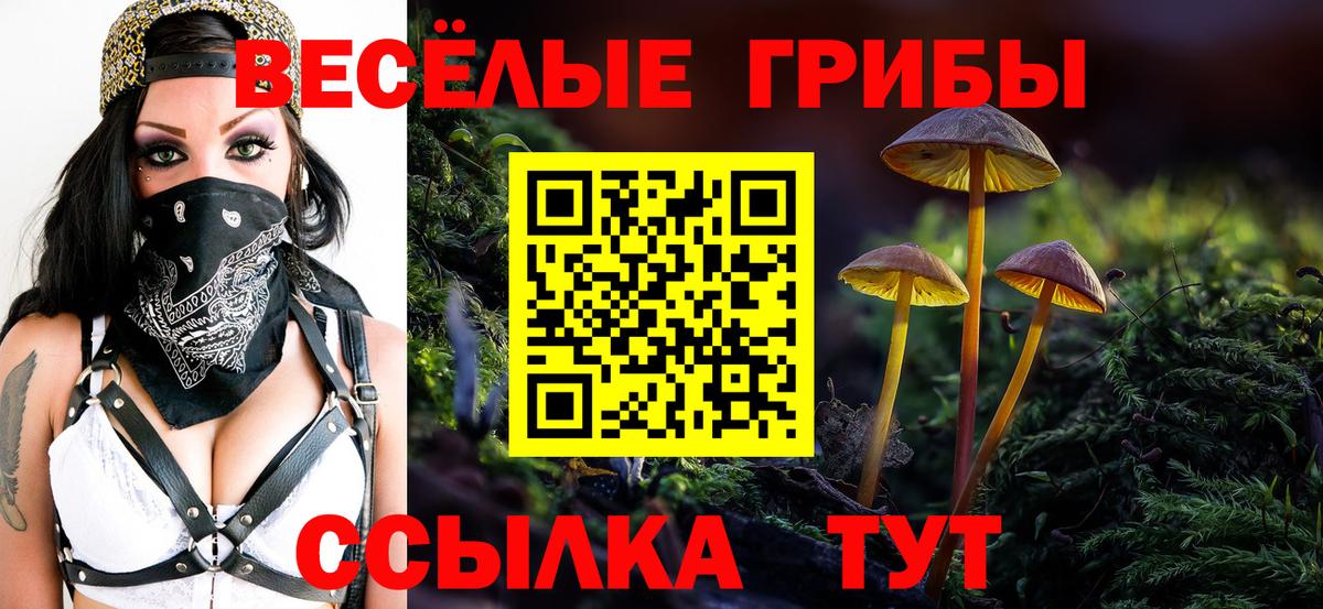 Псилоцибиновые грибы ЛСД Алатырь