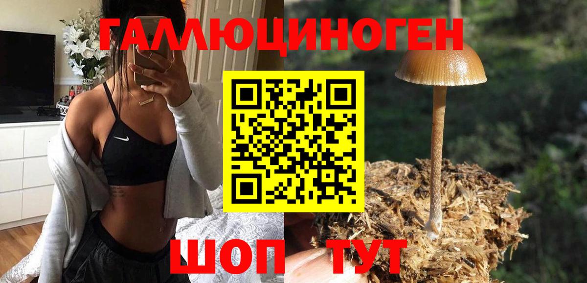 Алатырь  Галлюциногенные грибы Magic Shrooms  Вход с VPN 